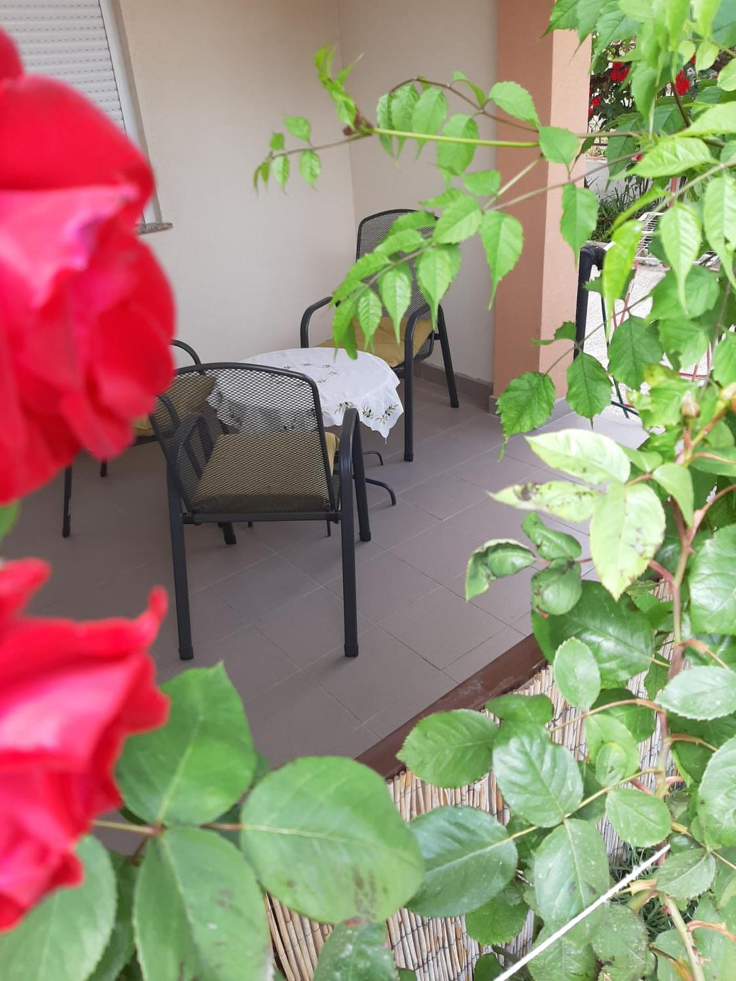 Luna Maris Apartments 扎达尔 外观 照片