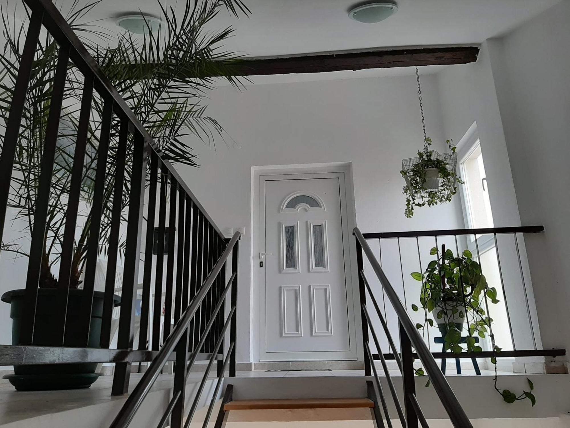 Luna Maris Apartments 扎达尔 外观 照片